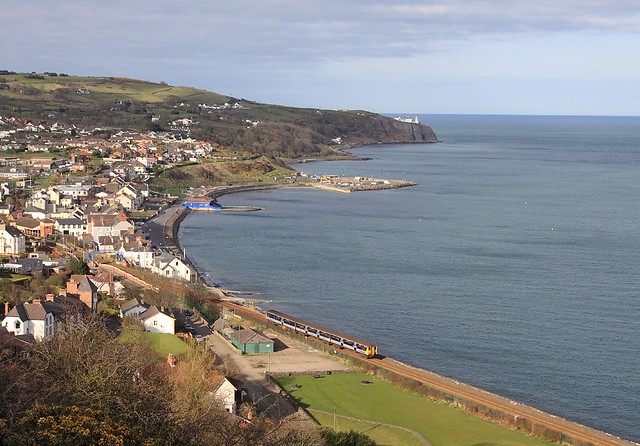 8459, Whitehead 🇬🇧, 25 March 2011