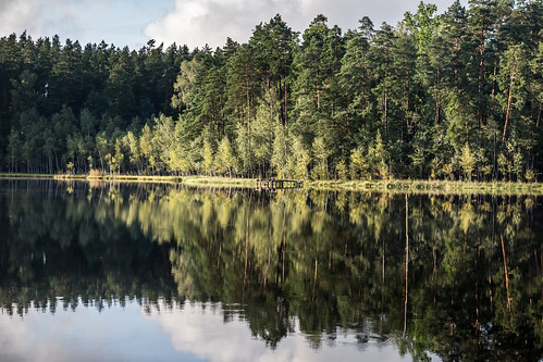 seczek sęczek mazury poland polska jezioro jeziora lake laguna reflection trees forest water summer symmetry symetria travel landscape nature