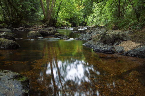 riverteign water woodland forest tree trees translucent clear pebbles rocks rocky longexposure le cokin nd8 filter reflections foliage green dartmoor nationalpark devon uk canon eos50d tamron 1750mm landscape moss mossy boulders vegetation outdoors nature scenic idyllic