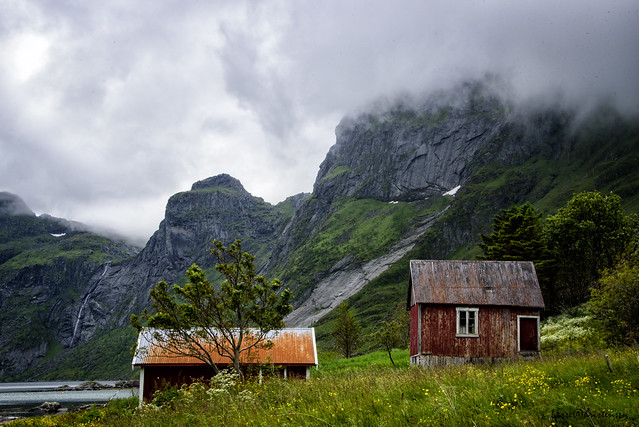 Vindstad in Reinefjorden - Lofoten Norway