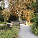 Weg an einem der Teiche im Schlosspark Borbeck
