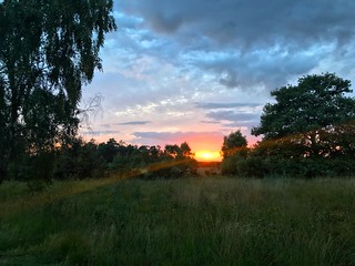 Ludshott Common Sunset