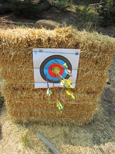 Arrows hitting the target! | Arthaey Angosii | Flickr