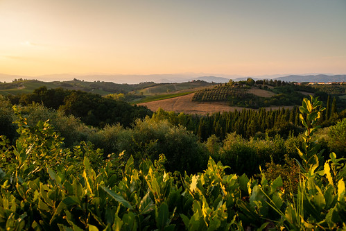 italy italia toscana tuscany cerretoguidi d7500 nikon nikond7500 sigma18200 empolesevaldelsa sunset landscape summer