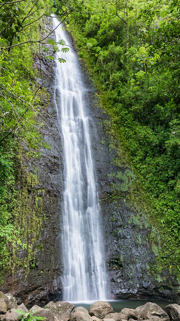 Manoa Falls