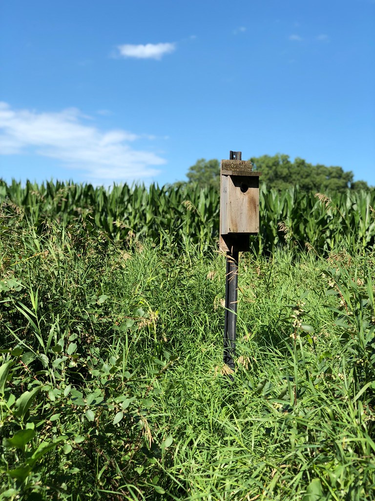 Prarie Loop Trail
