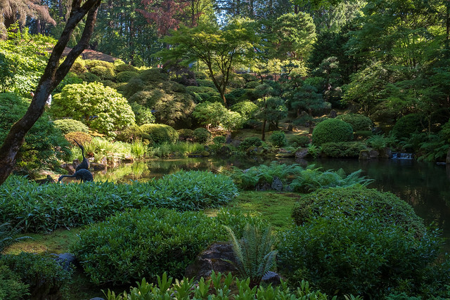 Japanese Garden Meadow