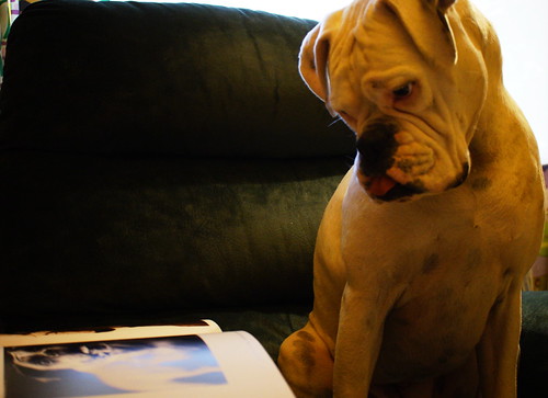 at least she can enjoy the pictures :) | by BusyBl.Mts.Grandma