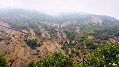 Iran , Veresk , Summer 2018 #M47 by mohammadrezamoosavi47, m47