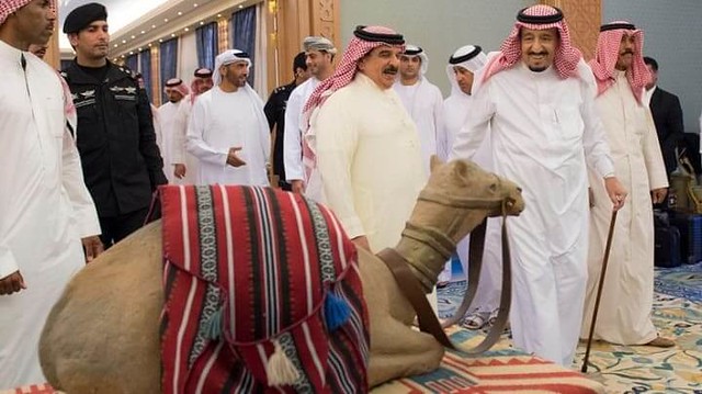 3740 King Salman sacrificed 5,000 Animals on Eid ul Adha this year