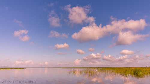 Serenity by tshabazzphotography, Lake Apopka Wildlife Driveclouds sky cloudporn cloudheaven blueskies nature outdoors reflection wate
