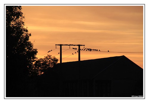 08-août-Lever ou coucher de soleil-2-_MG_1088 by pepito2551, <a href="https://www.flickr.com/groups/2709306@N24">www.flickr.com/groups/2709306@N24</a>
Lever de s