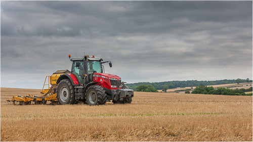 masseyferguson claydenhybriddrill cambridgeshire harvest oilseedrape agricultural farming canon lintonsnapper landscape tractor tractorsdiggers