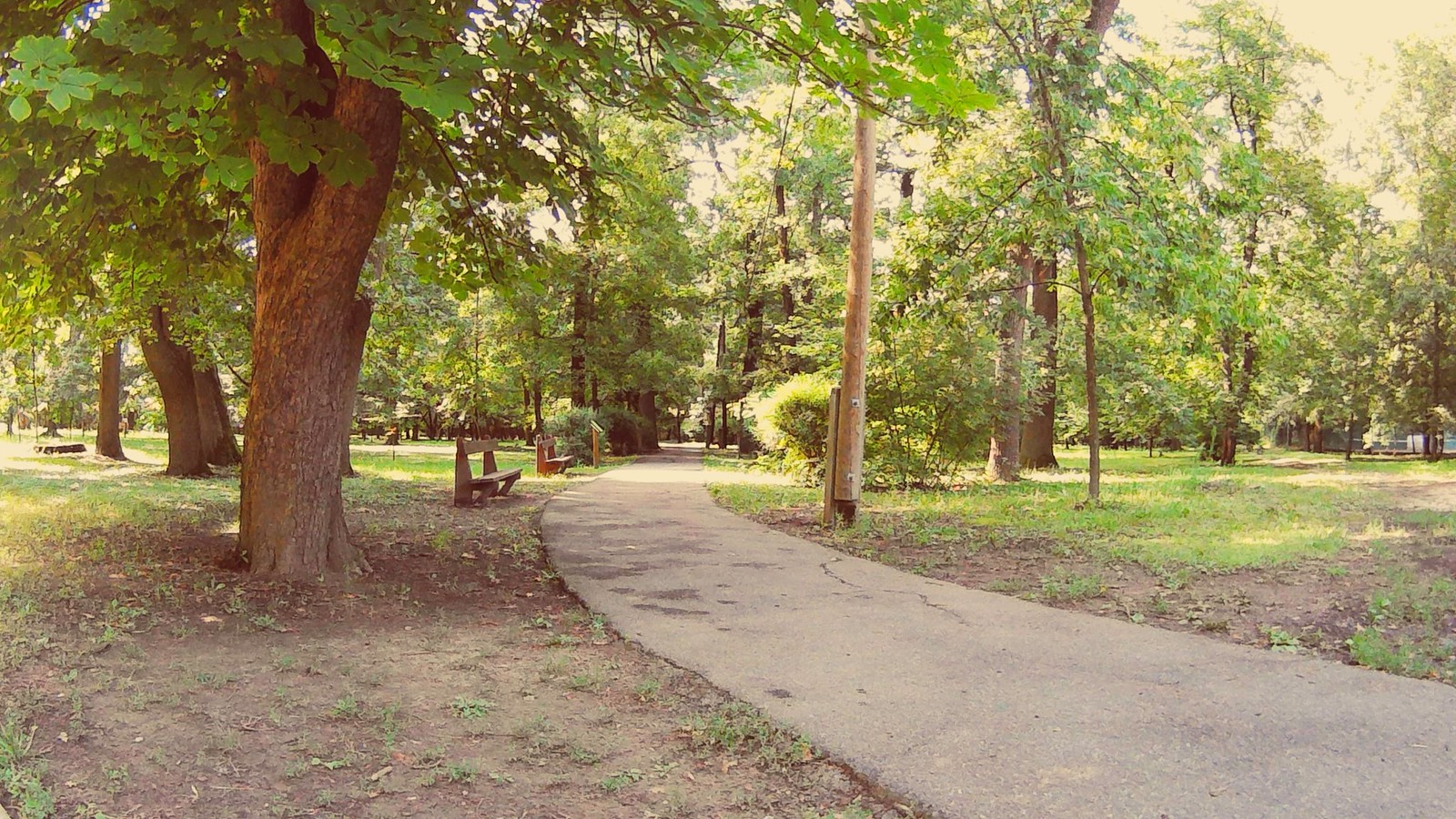 2018.07.20. @ Gyomaendrőd, Magyarország