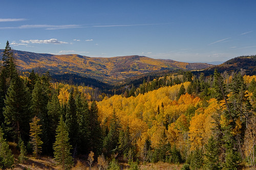 cedarbreaks fall fallcolors utah landscape nature