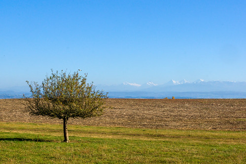 2017 77 alpen alpha baum berg bevaix herbst himmel lagrandebéroche landschaft neuchâtel neuenburg sal1650f28 slta77v schweiz sony switzerland wiese alps autumn clear klar landscape meadow mountain sky tree ch