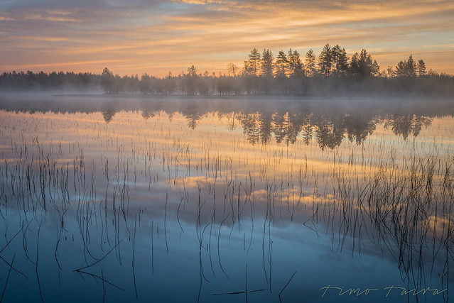 Aamu-usvat Tiilikassa - Foggy morning at sunrise in Tiilikka National Park.