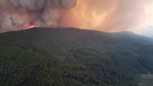 bcwildfire emergency wildfire publicsafety fire