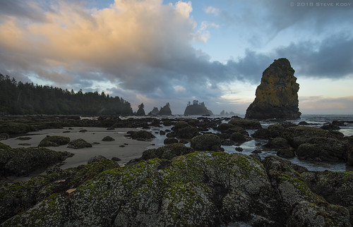 Shi Shi Beach Sunrise Sea Stacks by Steve Kody, Taken shortly after sunrise at the Point of Arches on Shi Shi Beach.

Low tide around the Point of A