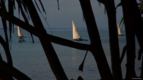 matemwe zanzibar tanzania asilia asiliaafrica sails vele boat fisherman fishermen sailboat earlymorning sea sunrise lodge pentax pentaxk5 pentax18135 pentaxart