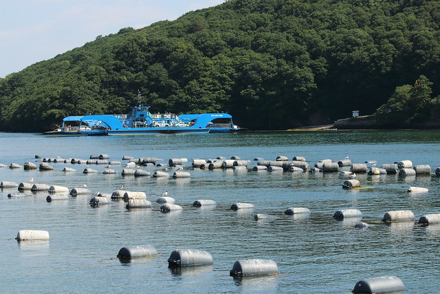 Car Ferry and Oyster Beds