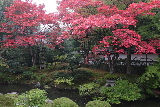 Autumn Landscape  /京都 泉涌寺 御座所庭園 Kyoto Sennyuji