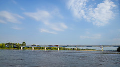 7895    Rzeka Wisła,  most w Annopolu