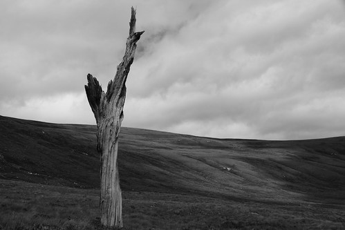 aberdeenshire scotland scottishhighlands highlands mountain hills cairngorms trees landscape bw blackandwhite monochrome topic