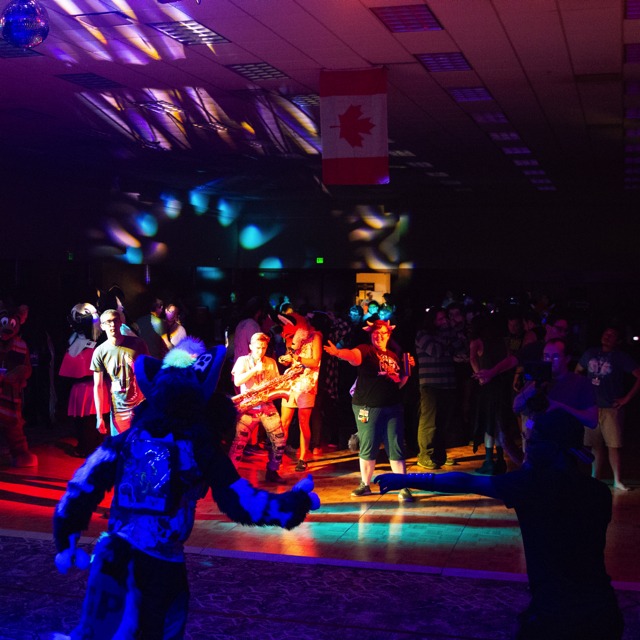 Some of the crowd dancing at my @IndyFurcon set #IFC2018 #… | Flickr