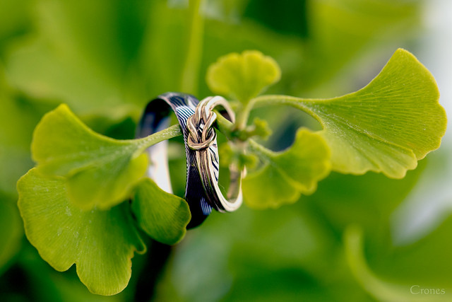 Wedding MM - Rings on the Ginko