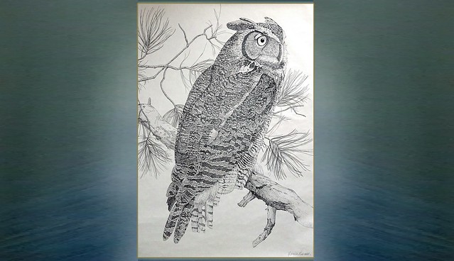 Bird, Horned Owl, signed print By- Karrie Loreth