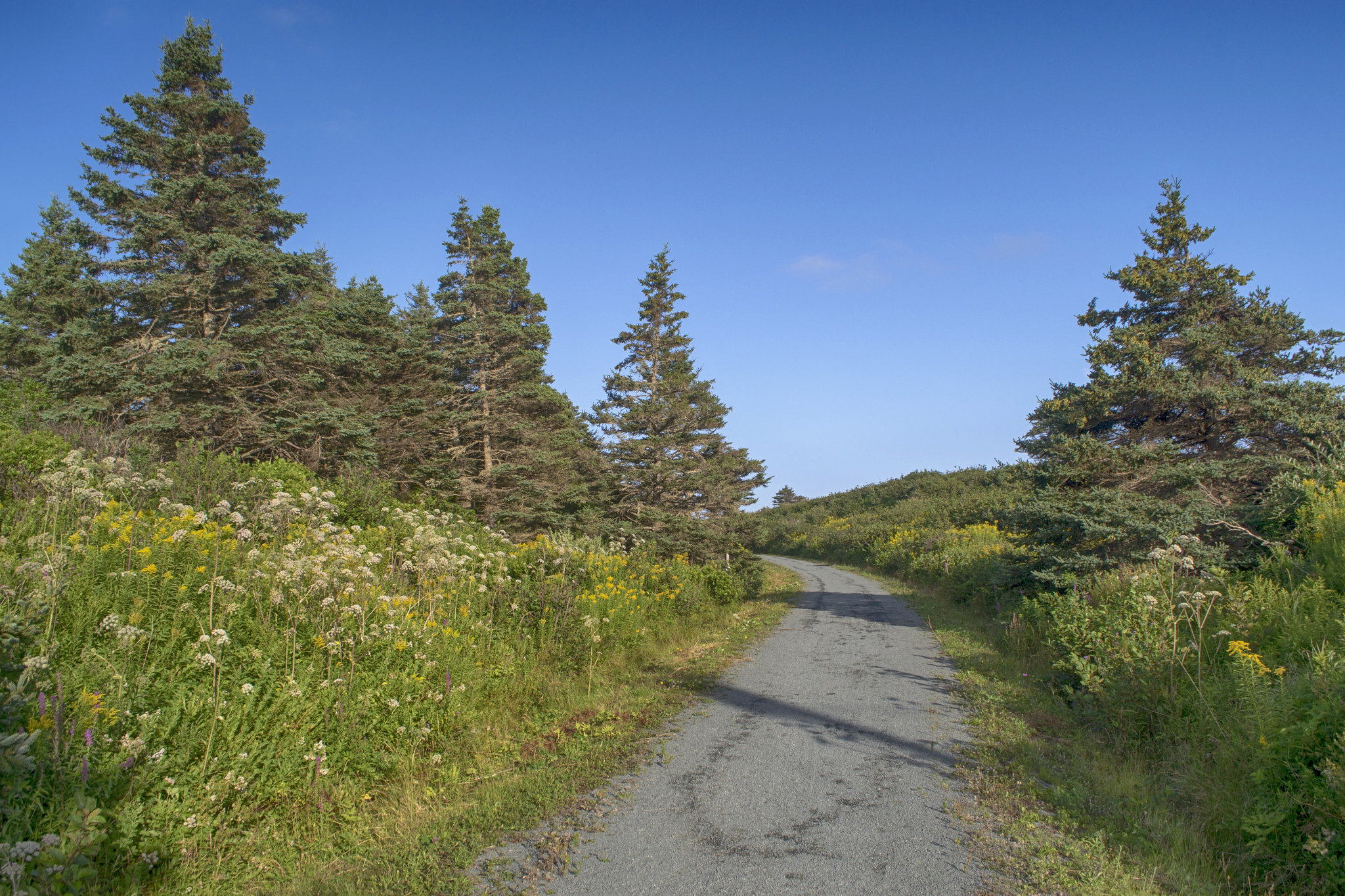 Atlantic View Trail