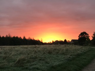 Sunrise over Donisthorpe woodland park