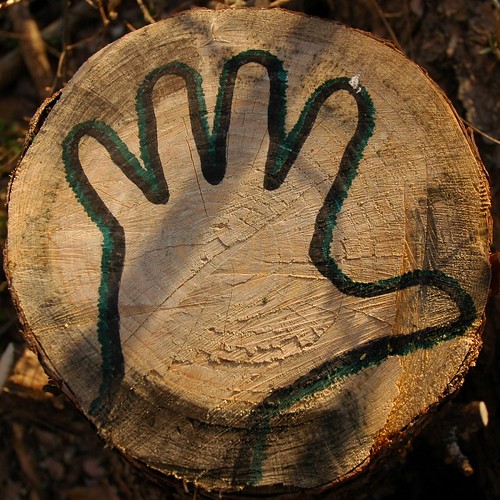 Hand by timekin, sunset usa lake water graffiti hand tennessee greenbelt oakridge