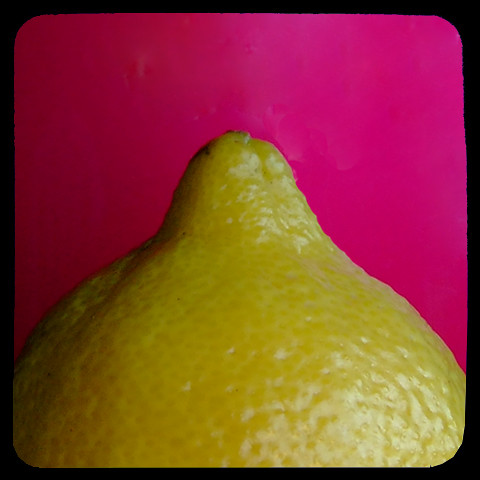 lemon macro against pink background