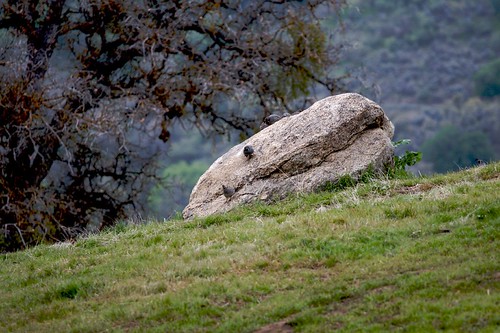 IMG_6494 by wZa HK, <a href="http://maps.google.com/maps/ms?ie=UTF8&hl=en&t=h&msa=0&ll=35.085395,-118.64