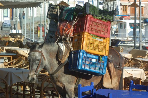 Hydra Mules: Vegetables | by Mules and Donkeys of Hydra
