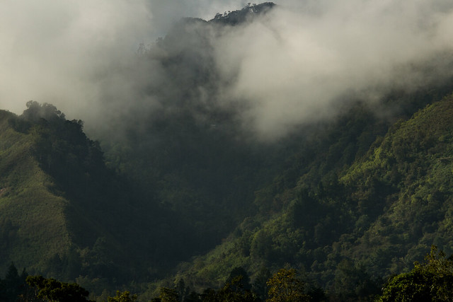 Kerinci Valley, Sumatra, Indonesia
