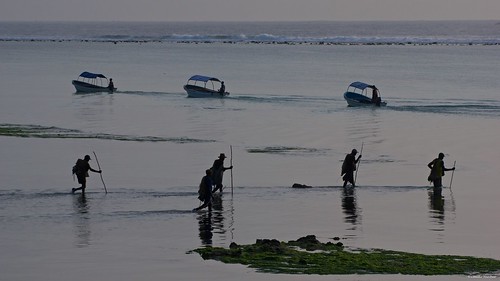 matemwe zanzibar tanzania fisherman fishermen sea water fish stick clams lowtide pentax pentaxk3ii sigma sigma50500 pentaxart sigmaart bigma people africa fishing