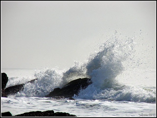 L' âme comme la mer a ses vagues ...