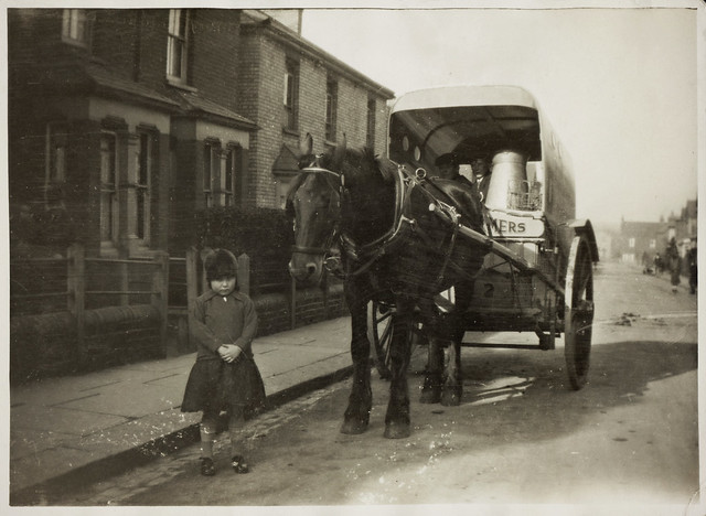 My 'Pink Nan' (Joyce Langdale) aged 5 (1928?) with her uncle's milk cart,  Barnet, Herts.