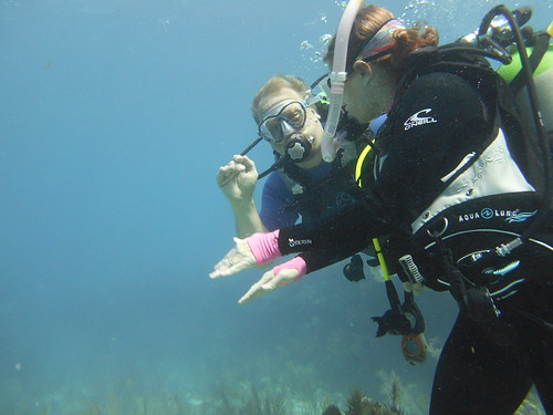 Perfect Conditions Key Largo Dry Rocks Reef Tour | by Sail Fish Scuba