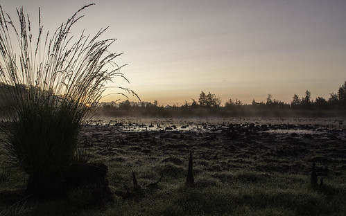 Haaksbergseveen by Theo Bauhuis, Sunrise at nature reserve Haaksbergseveen, a Dutch nature near the German border. In a normal summer