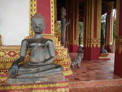 Museo-Templo Phra Keo. Diferentes Mudras o posiciones de Buda. Vientián. Laos