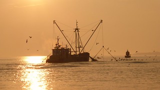 Early morning fishermen, Waddensea