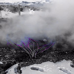 Thermal Tentacles Lisa Safford-Kuscu

Low temperature, low flow hot spring sourced via pex piping for demonstration of a rural Distributed Energy Resource system.

GRC Geothermal Photo Contest 2018
