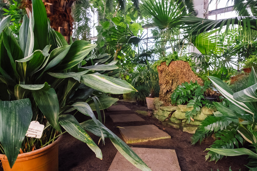 Lu Botaniskais Darzs Palmu Maja 2018 Botanical Garden Ri Flickr