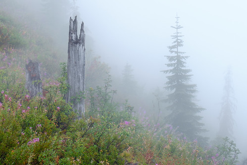 Evergreen Mountain Lookout Trail by www.trinterphotos.com, My friend John and I spent a night in the Evergreen Mountain Lookout near Skykomish, WA. Unfortunate