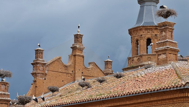 Les cigognes d'Alfaro, Ribera d'Ebre