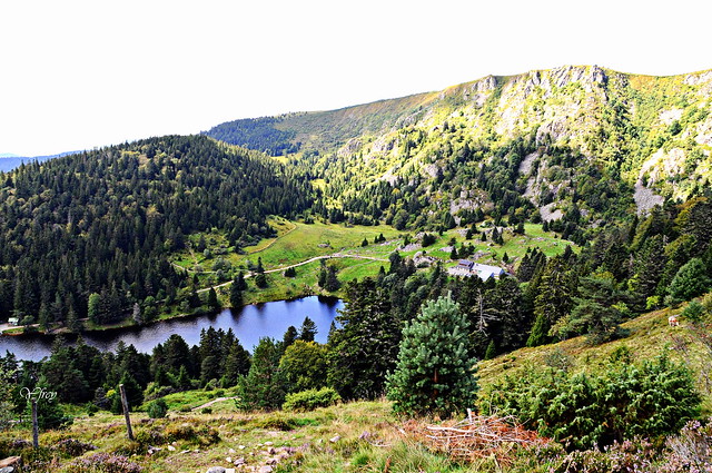 Lac du Forlet Soultzeren Haut-Rhin